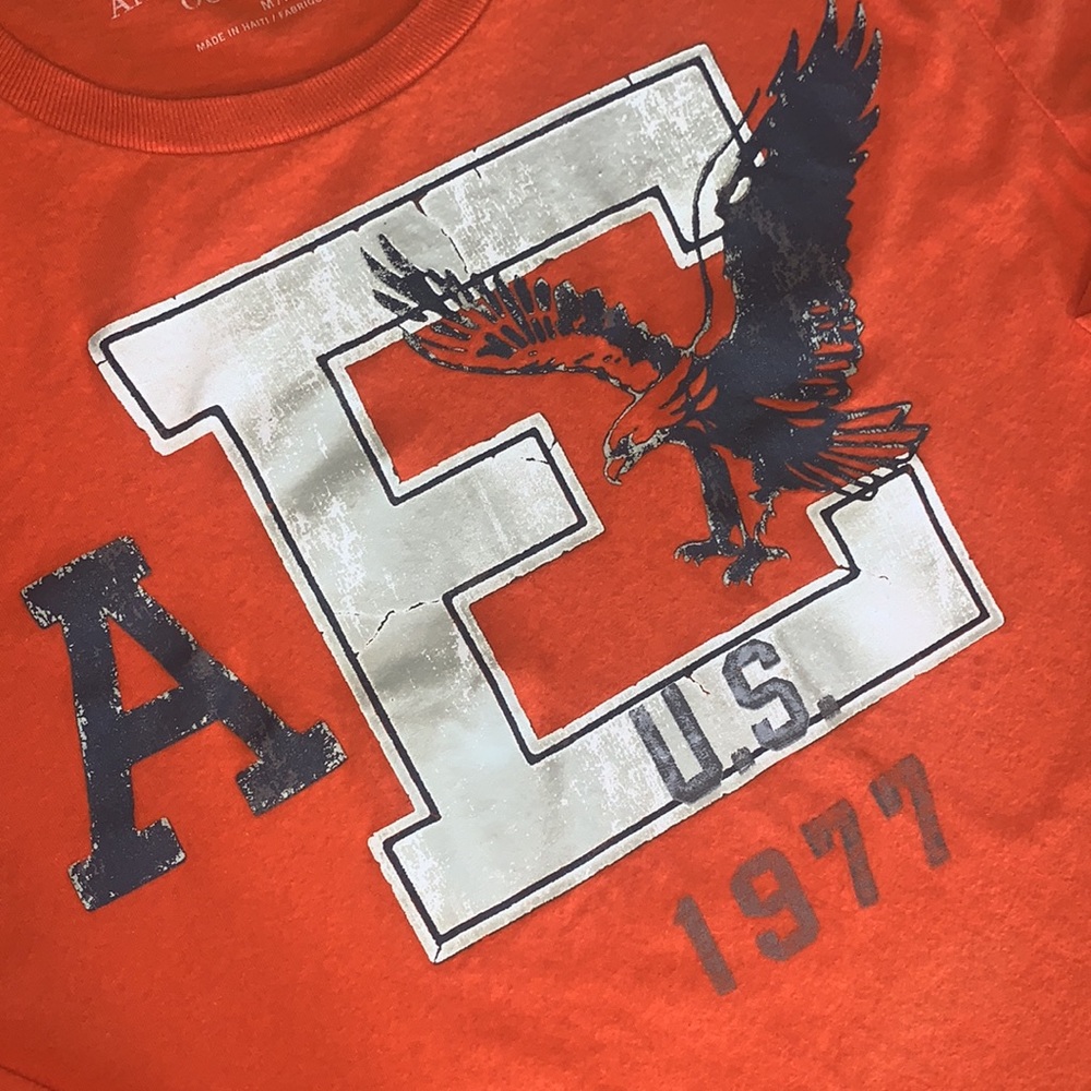 🌻(5 for $15)American Eagle Outfitters Sz Medium long sleeve tee “Athletic Fit”